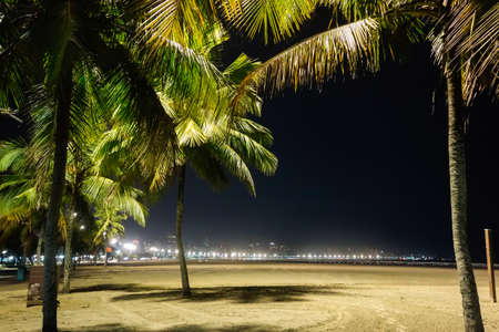 palm trees on the sand of Santos city beach, Sao Paulo, Brazil, at nightの写真素材
