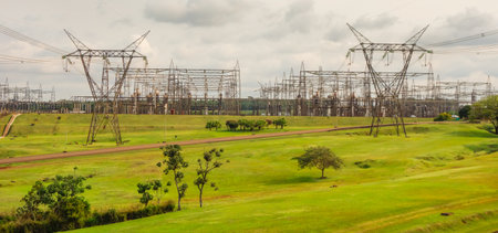 electrical transmission power lines and towers in a green field.の写真素材