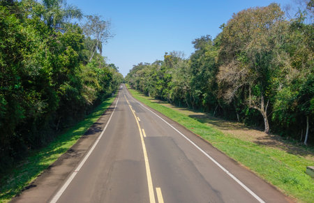 empty paved road through a lush rainforestの写真素材