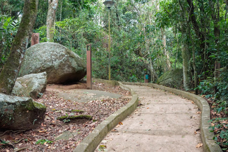 trail in the forest at Fonte Grande State Park in Vitoria, ES, Brazil.の写真素材
