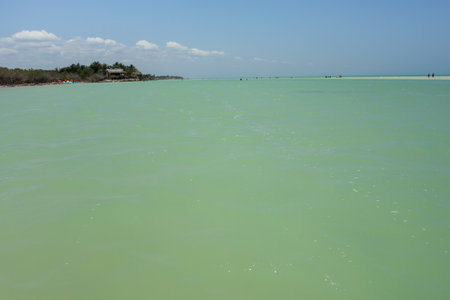 Crystal clear and shallow waters at Holbox island beach, Quintana Roo, Mexico.
