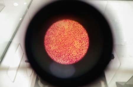 microscope lens, viewing Trypanosoma cruzi parasitic protozoan, causer of Chagas diseaseの写真素材