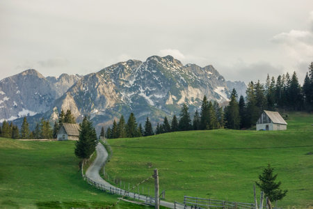 picturesque rural landscape near Zabljak town, Montenegro. Durmitor mountains as backdrop.