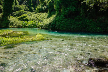 clear water and forest in Blue Eye Nature Monument near to Saranda, Albania.