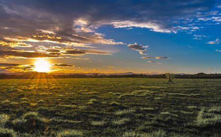 Glowing Grass Sunset with mountains behind and blue sky