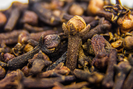 Macro Closeup dry organic raw clove shot, spices culinary material, healthy food, freshness aromatic flavor, selective focus, shallow depth of fieldの写真素材
