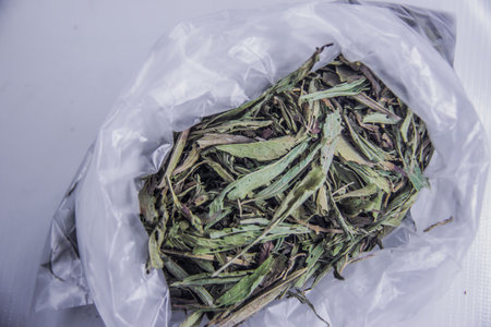 Dried stevia, healthy natural sweeting herbs, pharma green dry leaf, plastic transparent container,...