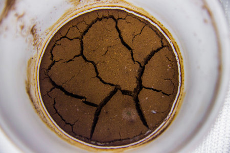 Dry cracked coffee grounds remaining at the bottom of the cup, brown red, beige, green mold spots, coffee leftover for many days in a white mug, macro closeup shot, food and drink abstract shot, photo is selective focus with shallow depth of fieldの写真素材
