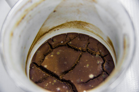 Dry cracked coffee grounds remaining at the bottom of the cup, brown red, beige, green mold spots, coffee leftover for many days in a white mug, macro closeup shot, food and drink abstract shot, photo is selective focus with shallow depth of fieldの写真素材