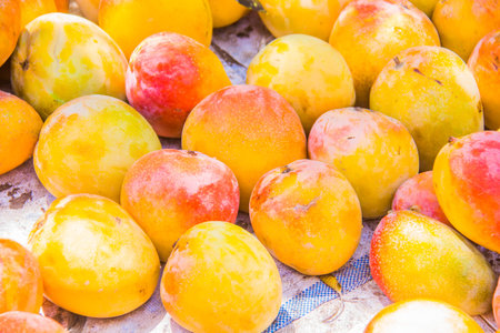 Agriculture fruits farm, fresh colored Mango food, juicy fruit,  vitamins and minerals, green tree,...