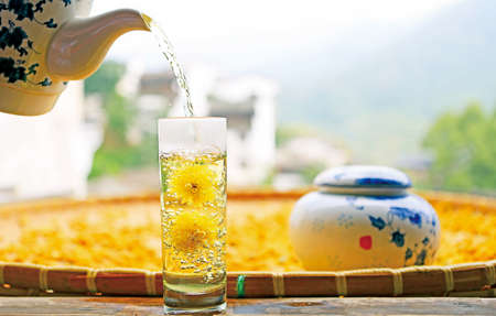 Wuyuan chrysanthemum teaの写真素材