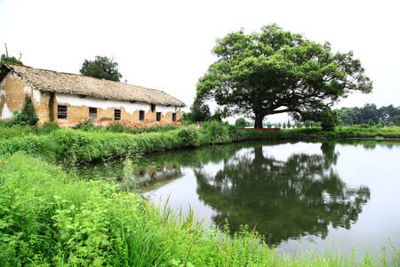 Country viewのeditorial素材