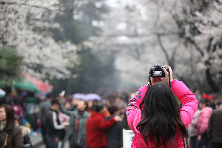 Back view of a tourist taking photoのeditorial素材