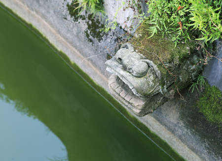 Pond