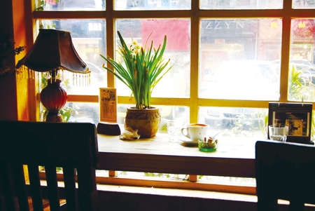 Window