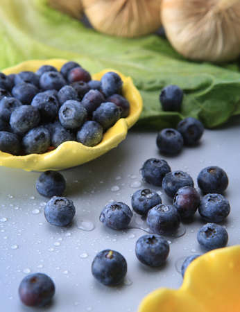 Blueberryの写真素材