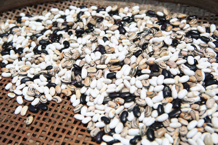 Various type of beans