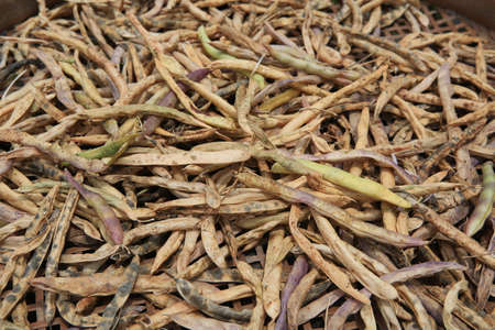 Dried vegetablesの写真素材