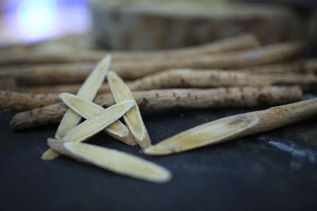 Astragalus membranaceusの写真素材