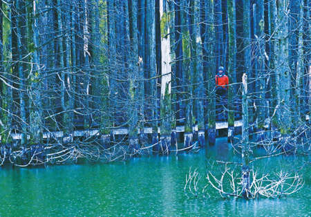 Moon Lakeのeditorial素材