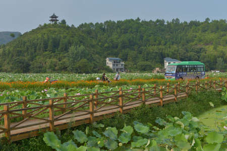 Bus on the roadのeditorial素材