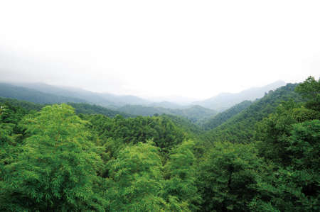 Green environment の写真素材