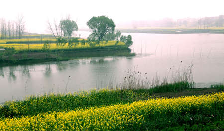 rural areaの写真素材