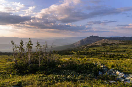 View of natureの写真素材