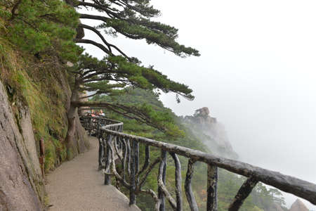 The plank roadのeditorial素材