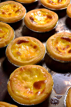 Egg tartの写真素材