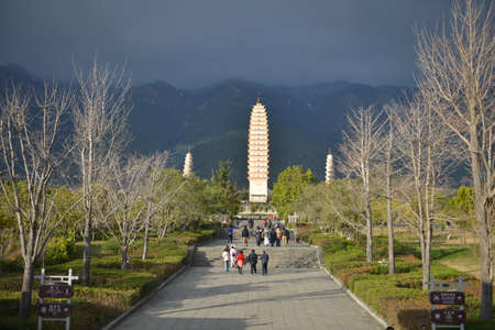 Three of Daliのeditorial素材