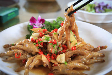 Chicken feetの写真素材