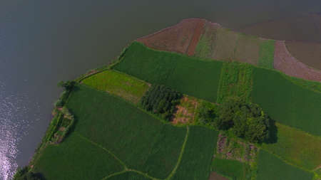 farmland
