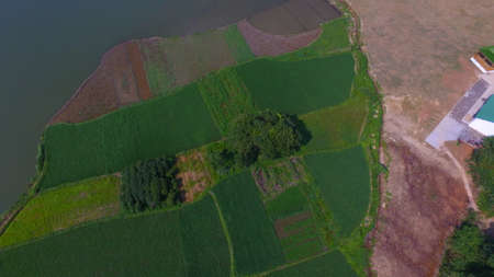 farmland