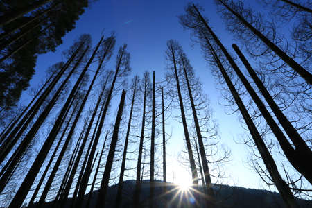 Mingyue Mountainのeditorial素材