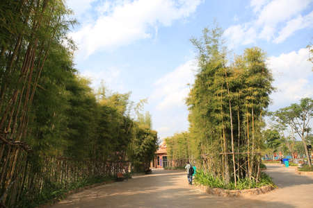 Sipsongpanna Wanda Theme Paradiseのeditorial素材