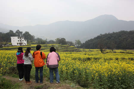 Jianglingのeditorial素材