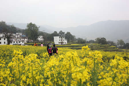 Jianglingのeditorial素材