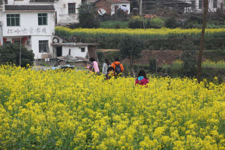 Jianglingのeditorial素材