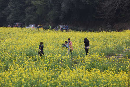 Jianglingのeditorial素材