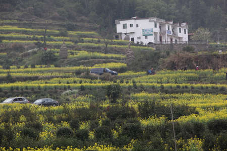 Jianglingのeditorial素材