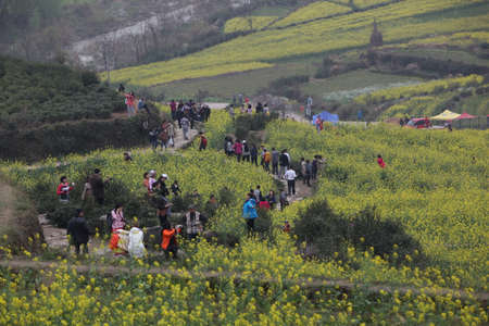 Jianglingのeditorial素材