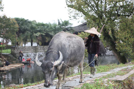 Yantian Guzhang scenic areaのeditorial素材