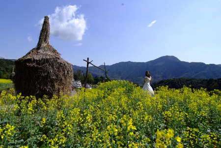 Jianglingのeditorial素材