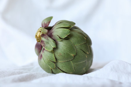 Fresh artichoke on white background. Whole green artichoke mockup. Horizontal.