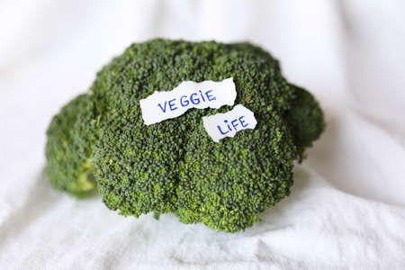 Close-up of raw green broccoli on white background with copy space. Mock-up.の写真素材