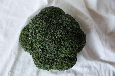 Fresh raw broccoli on white background with copy space. Mock-up. Vegetarian.の写真素材
