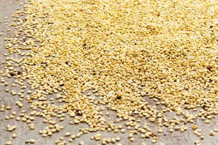 Some Coffee Beens in the floorの写真素材