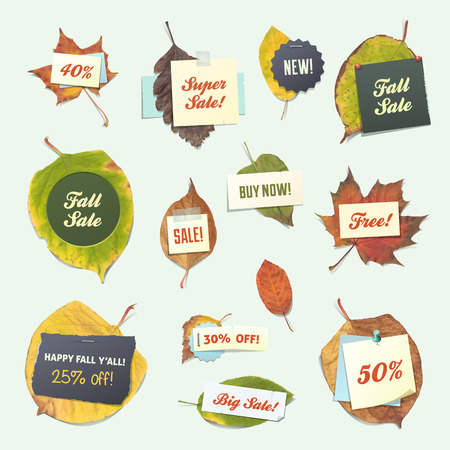 Fall leaves and pieces of paper. The leaves are intact behind the pieces of paper.のイラスト素材