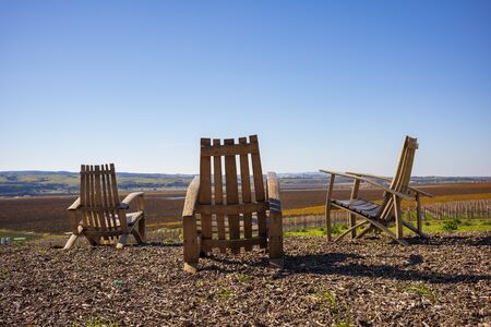 Vineyard of the Santa Maria valley, California.の写真素材